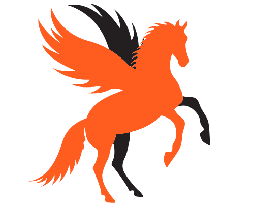 Stallion Plastering Logo
